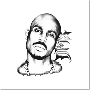 Dmx Posters and Art